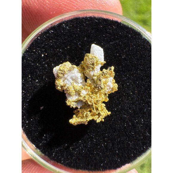 California Native Gold on Quartz Crystal - 0.76 grams - Picture 7 of 7